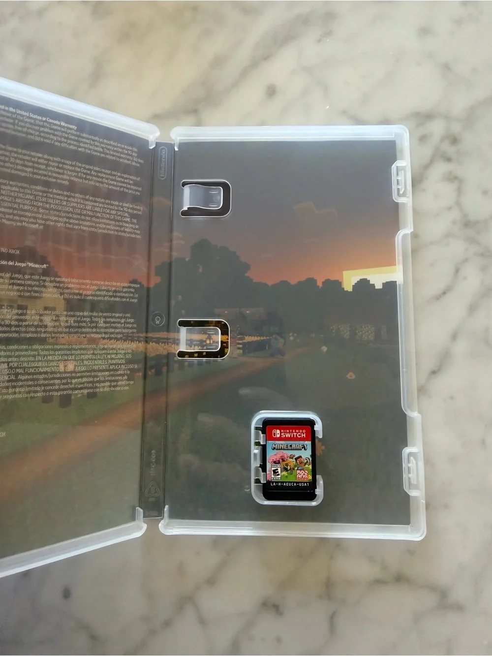 Nintendo Switch Minecraft